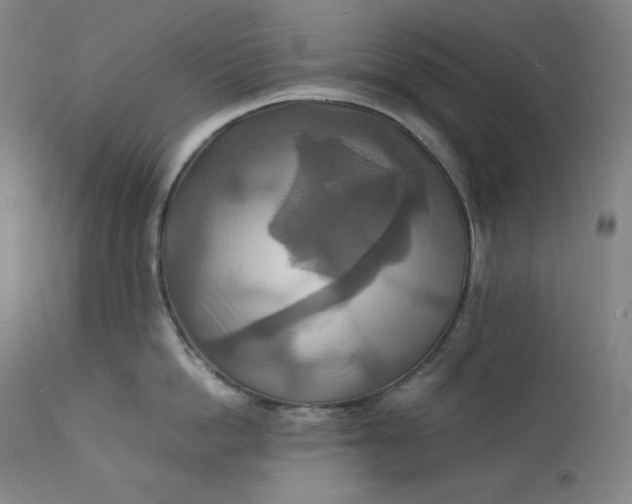 X0000111210862200907151436