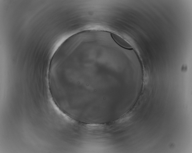 X0000111210863200907151436