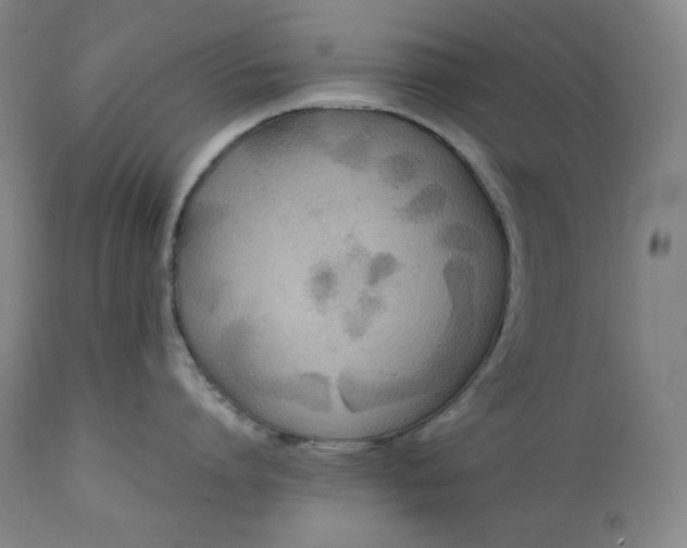 X0000111210864200907151436