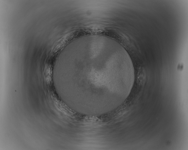 X0000111210866200907151435