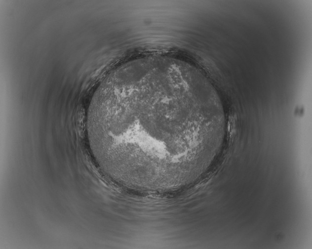 X0000111210867200907151435