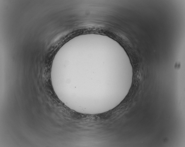 X0000111210869200907151435