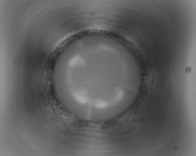 X0000111210870200907151435