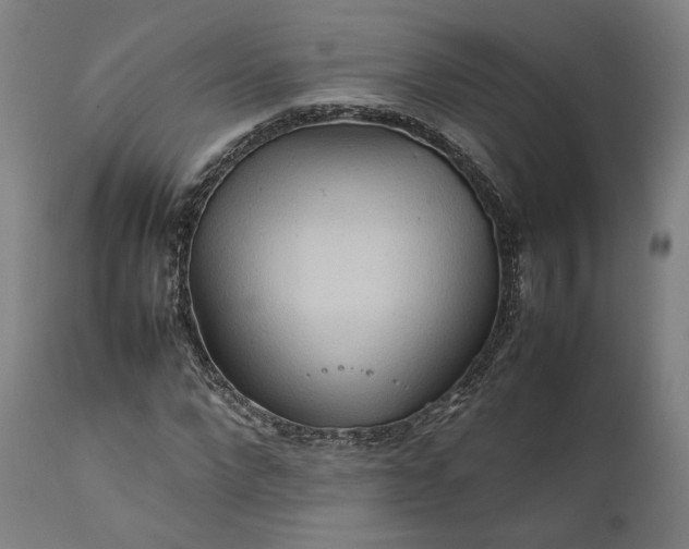 X0000111210872200907151435