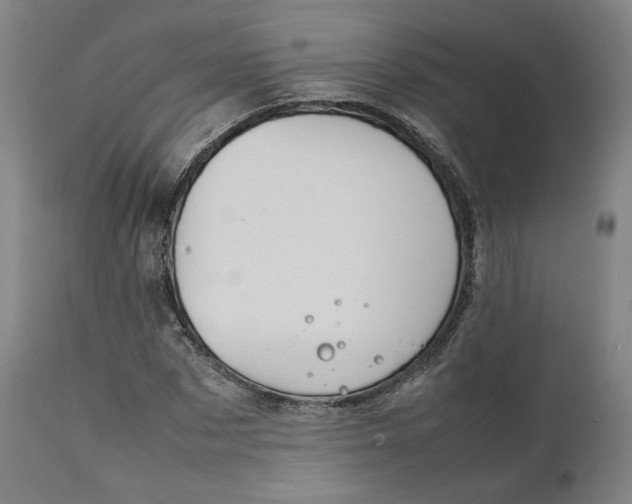 X0000111210873200907151435