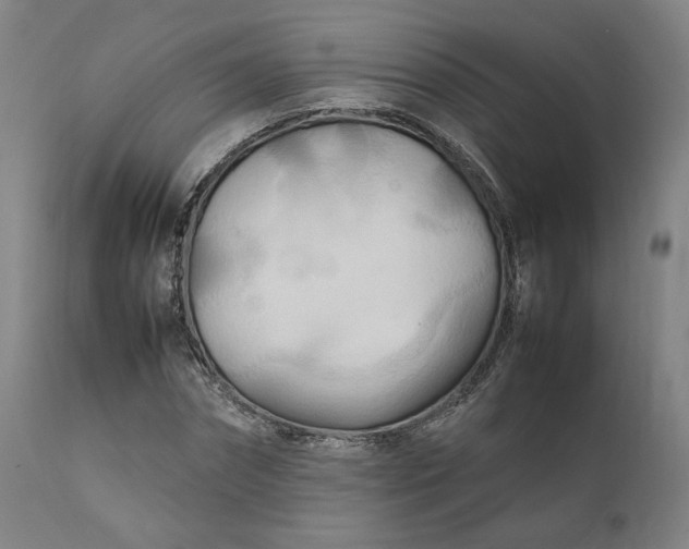 X0000111210874200907151435