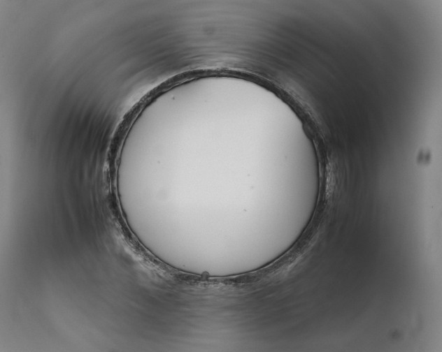 X0000111210876200907151435