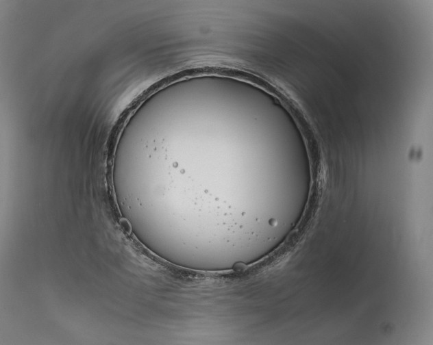 X0000111210877200907151435