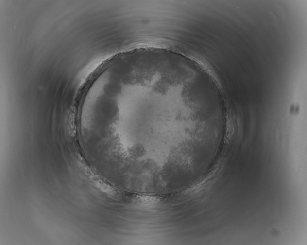 X0000111210878200907151435