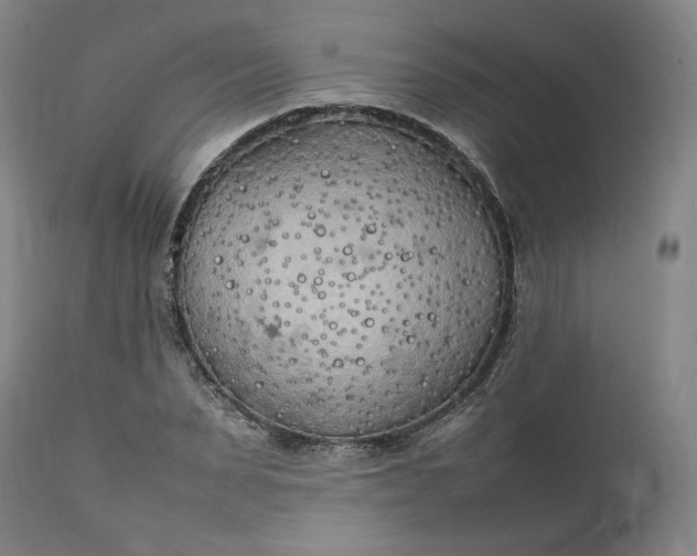 X0000111210879200907151435