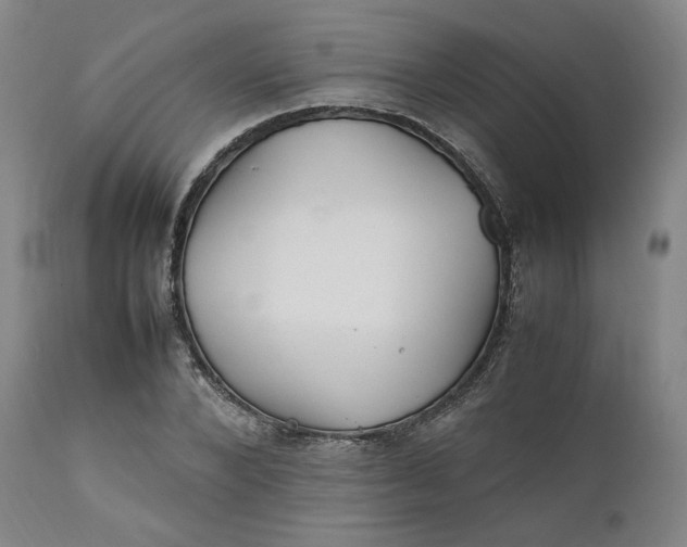 X0000111210880200907151435