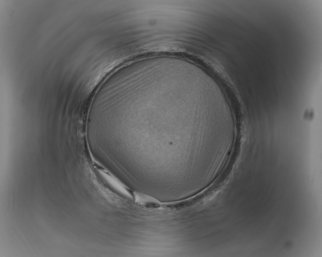 X0000111210881200907151435