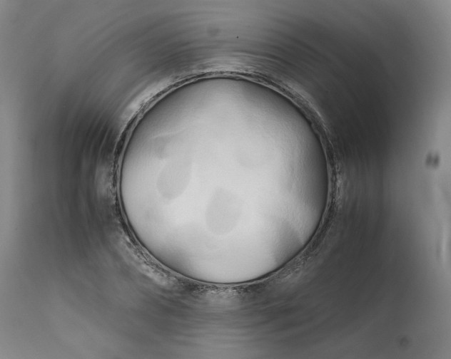 X0000111210882200907151435