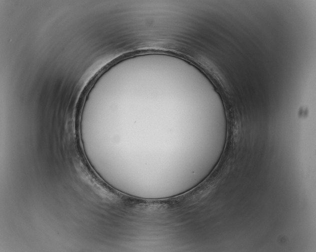 X0000111210884200907151435