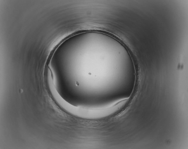 X0000111210885200907151435