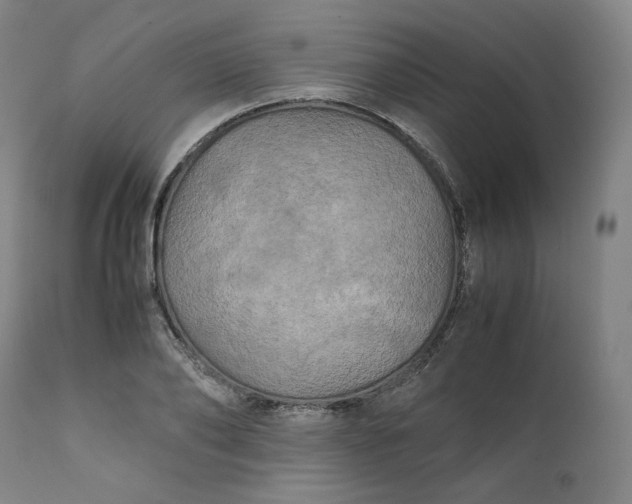 X0000111210886200907151435