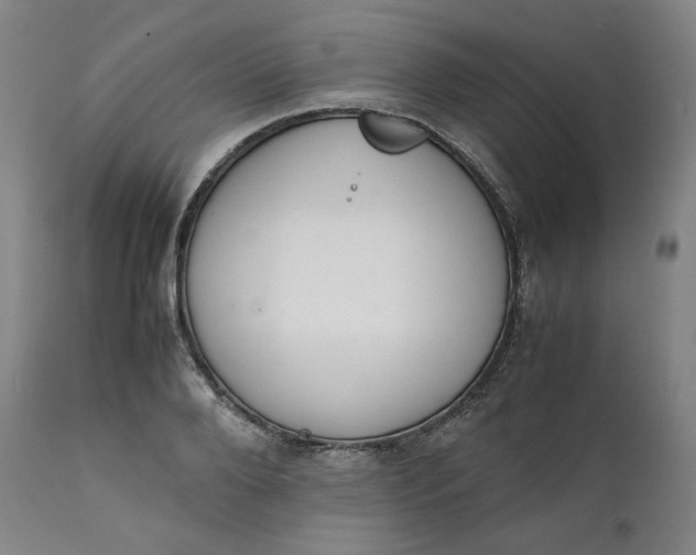 X0000111210888200907151435