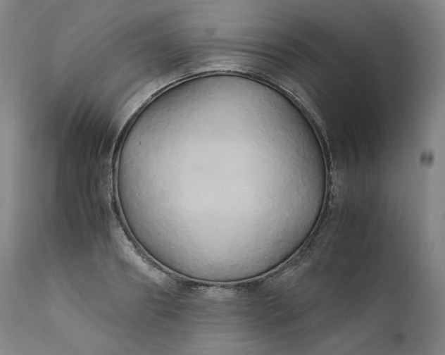 X0000111210890200907151435