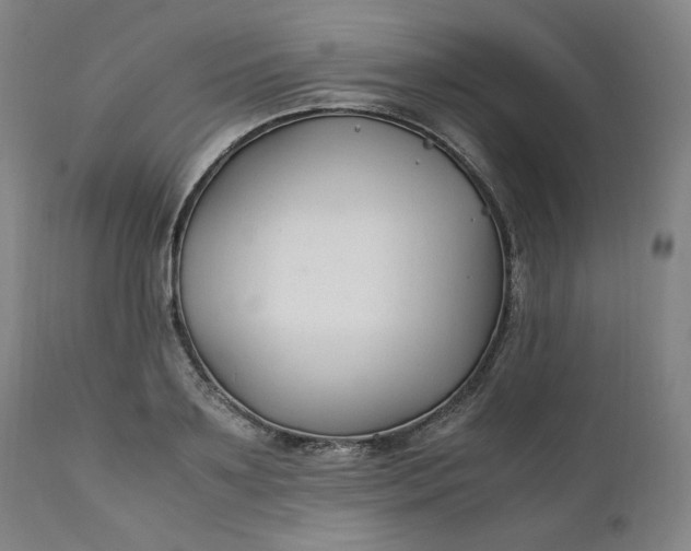 X0000111210891200907151435