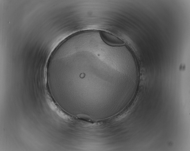 X0000111210892200907151435