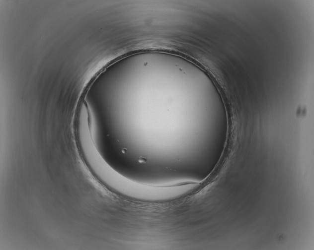 X0000111210893200907151435