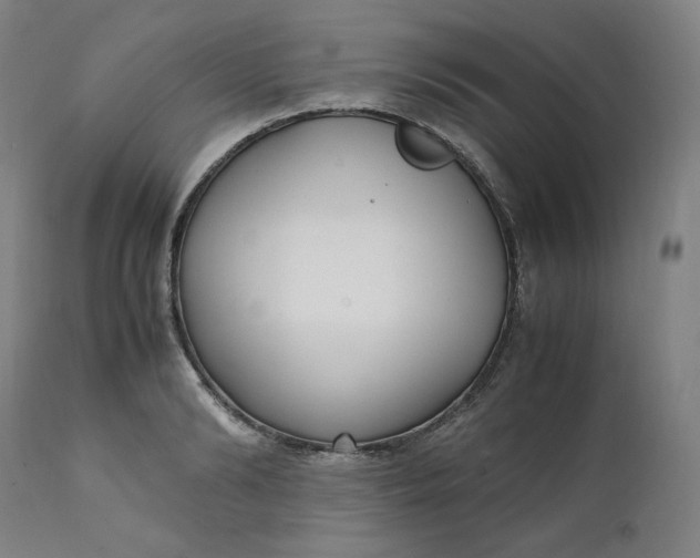 X0000111210894200907151435