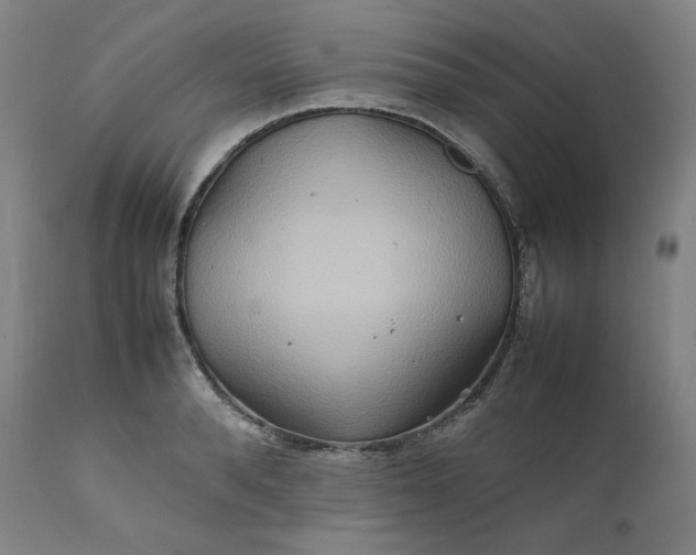 X0000111210896200907151435