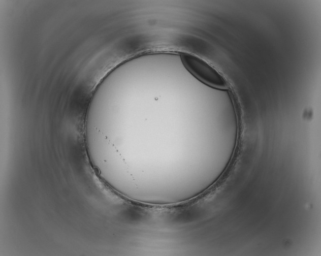 X0000111210897200907151435