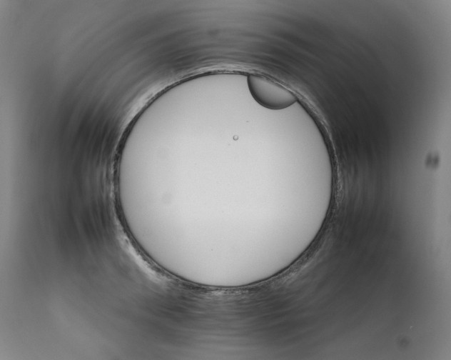 X0000111210898200907151435