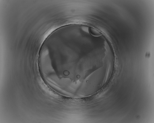 X0000111210899200907151435