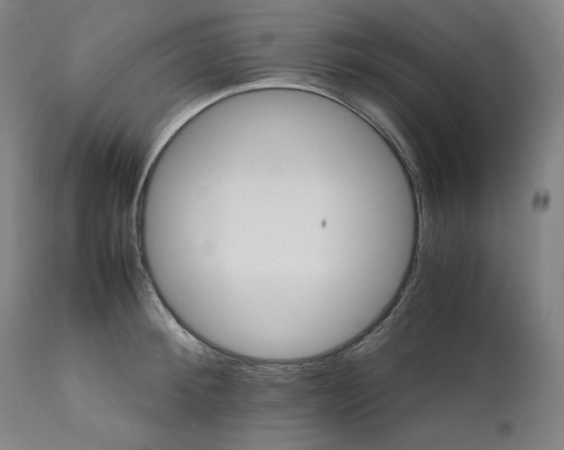 X0000111210900200907151435