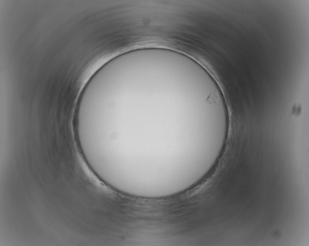 X0000111210901200907151435