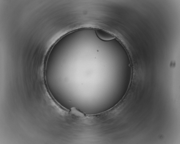 X0000111210902200907151435