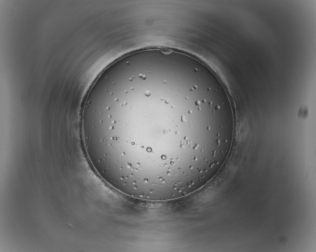 X0000111210903200907151435