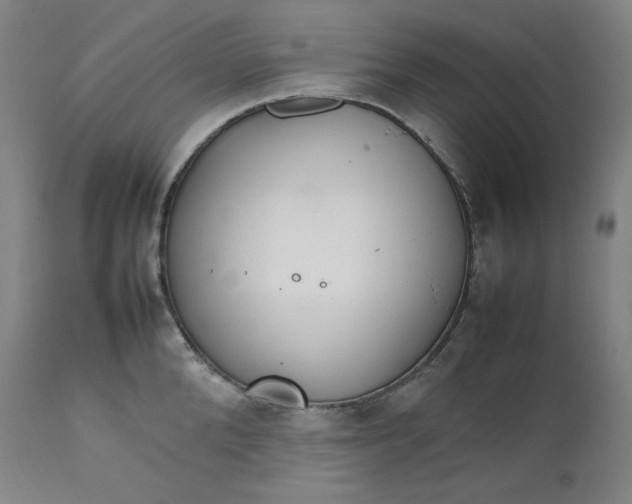 X0000111210904200907151435