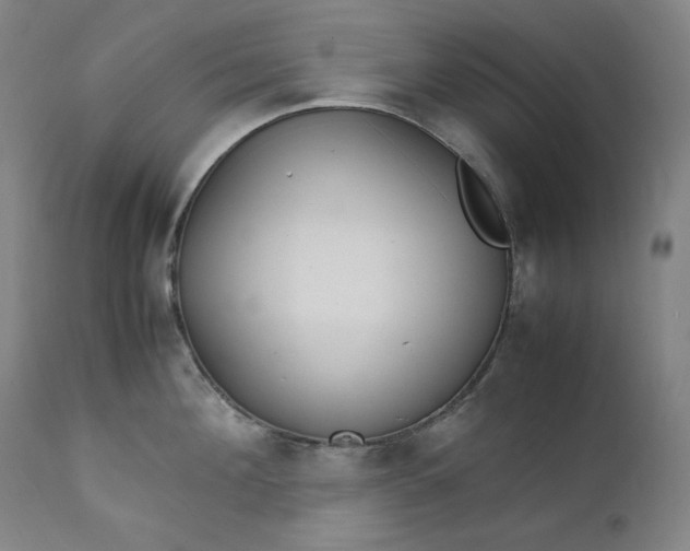 X0000111210908200907151435