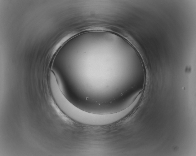 X0000111210909200907151435