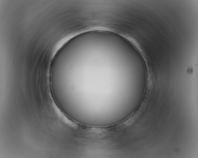 X0000111210910200907151435