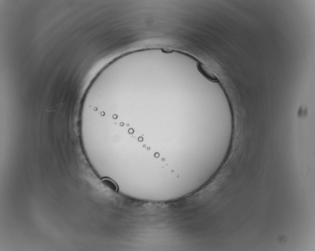 X0000111210912200907151435