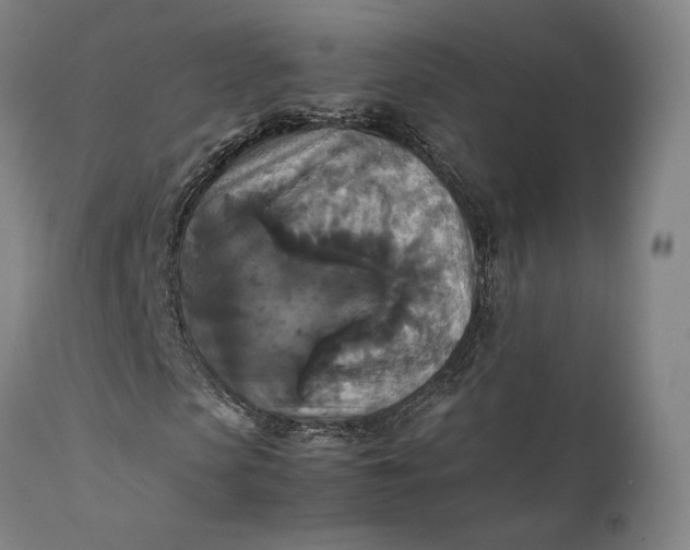 X0000111210913200907151434