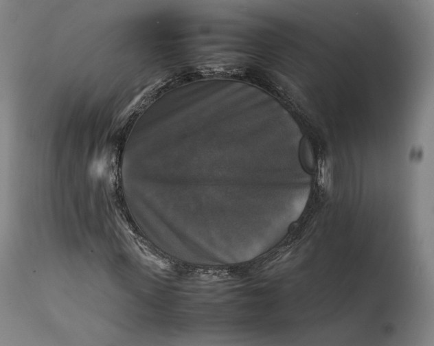 X0000111210915200907151434