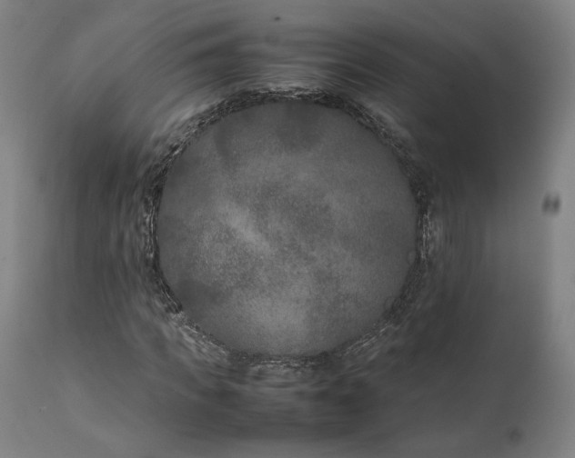 X0000111210917200907151434