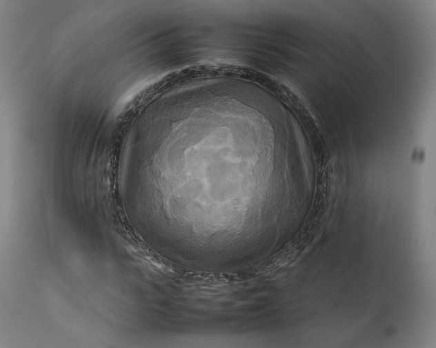 X0000111210919200907151434