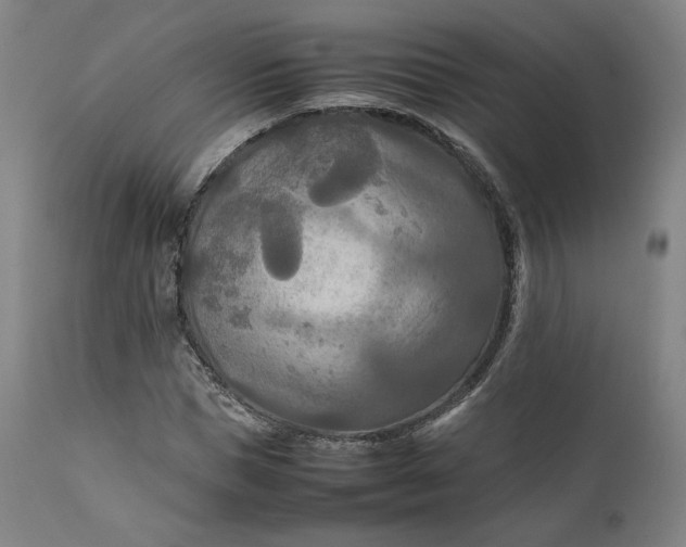 X0000111210921200907151434