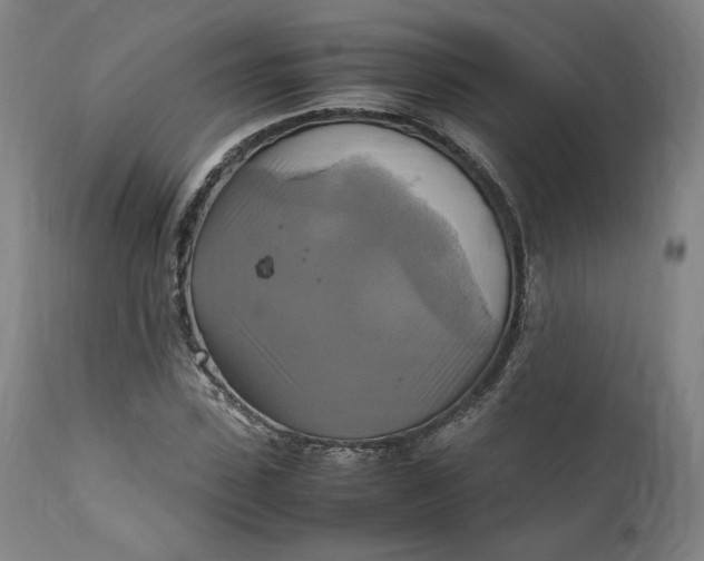 X0000111210923200907151434