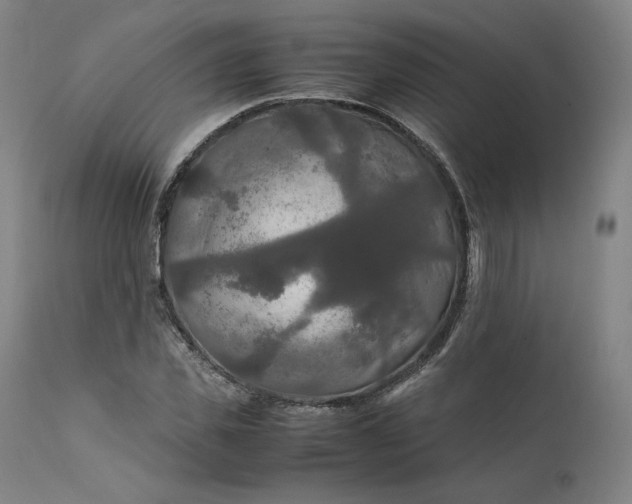 X0000111210925200907151434