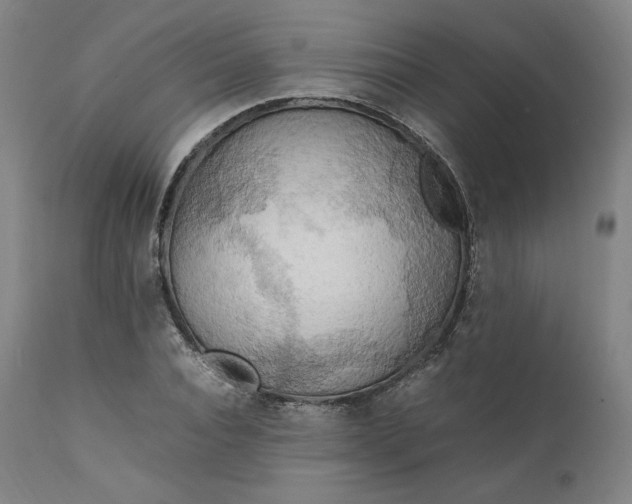 X0000111210928200907151434