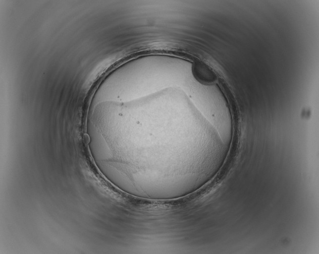 X0000111210930200907151434