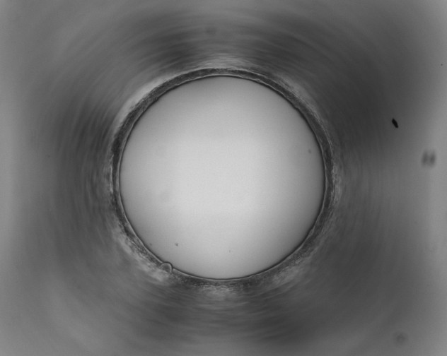 X0000111210931200907151434