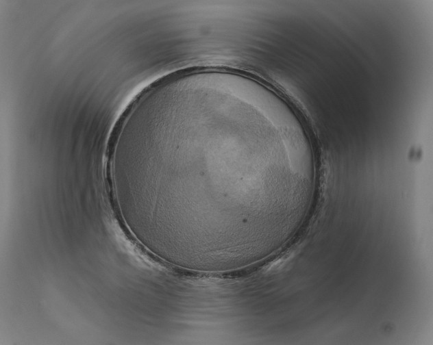 X0000111210932200907151434